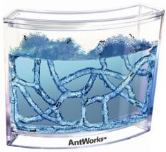 Antworks Terrarium für Ameisen im Weltraum :D
